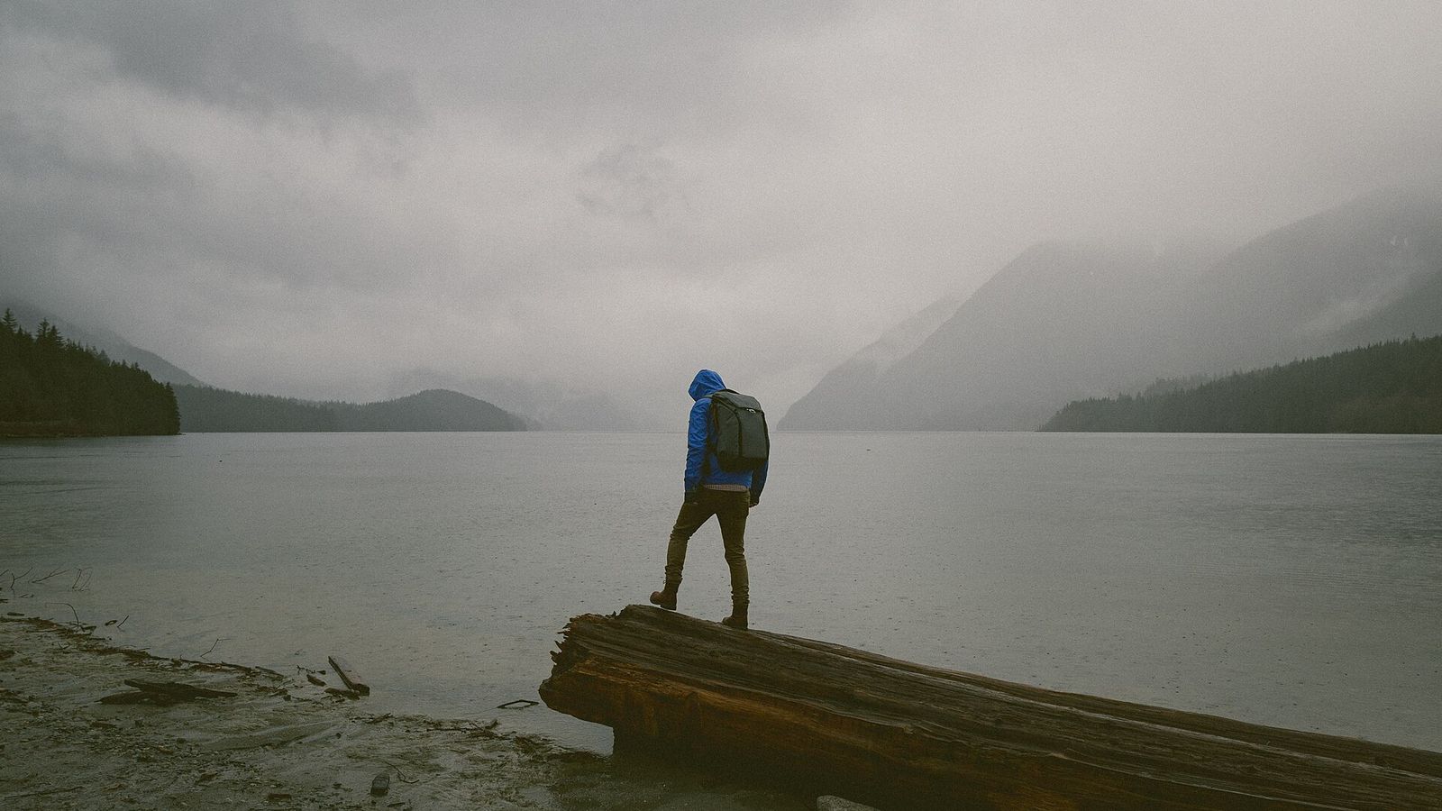 A hiker wearing a rain jacket on a wet trail