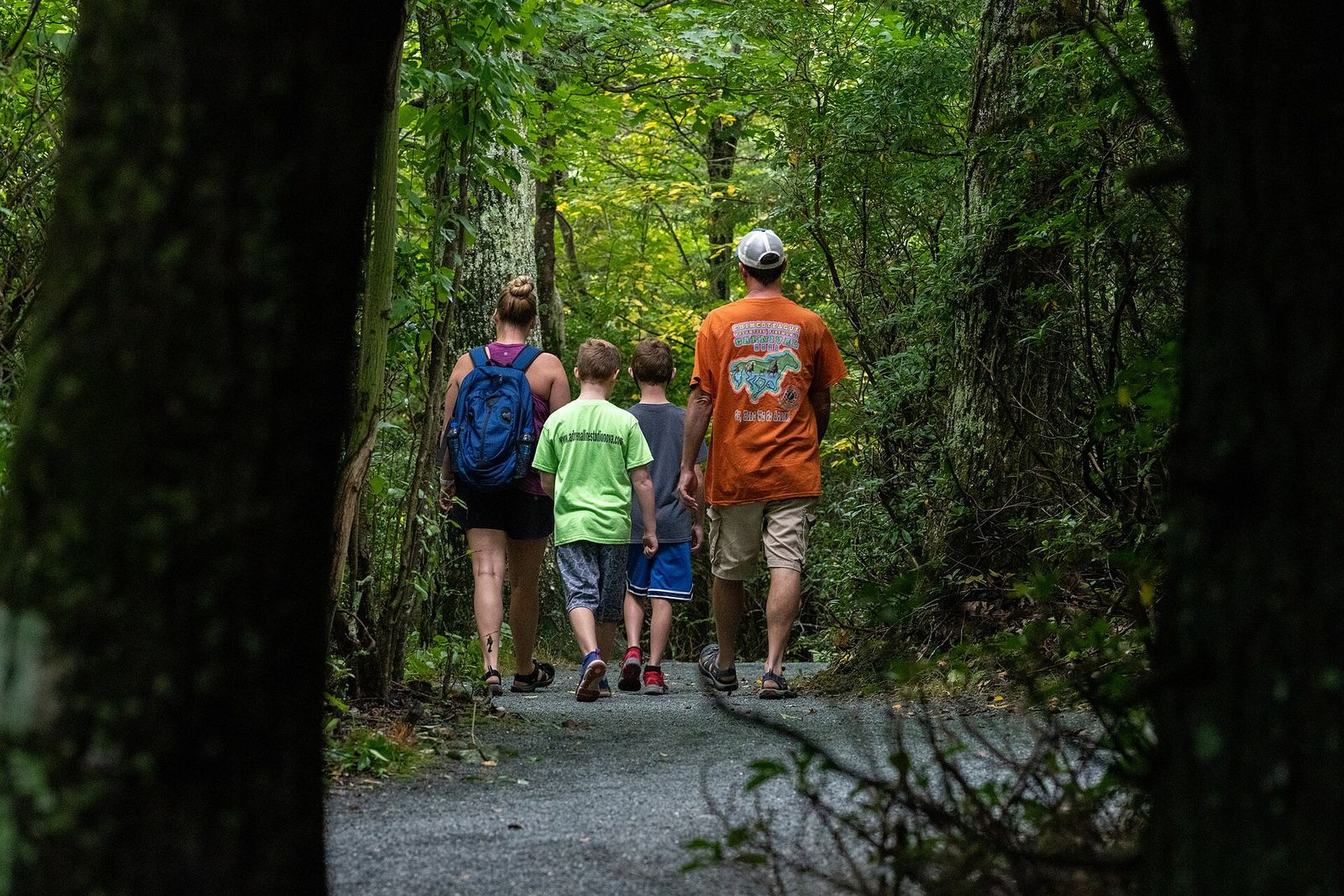 A family walking a forest trail with children