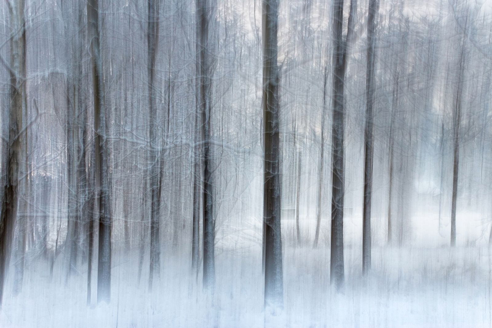 A snow-covered trail through winter woods