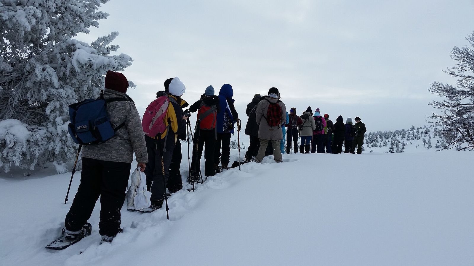 Snowshoers in winter layers walking a snow-covered trail